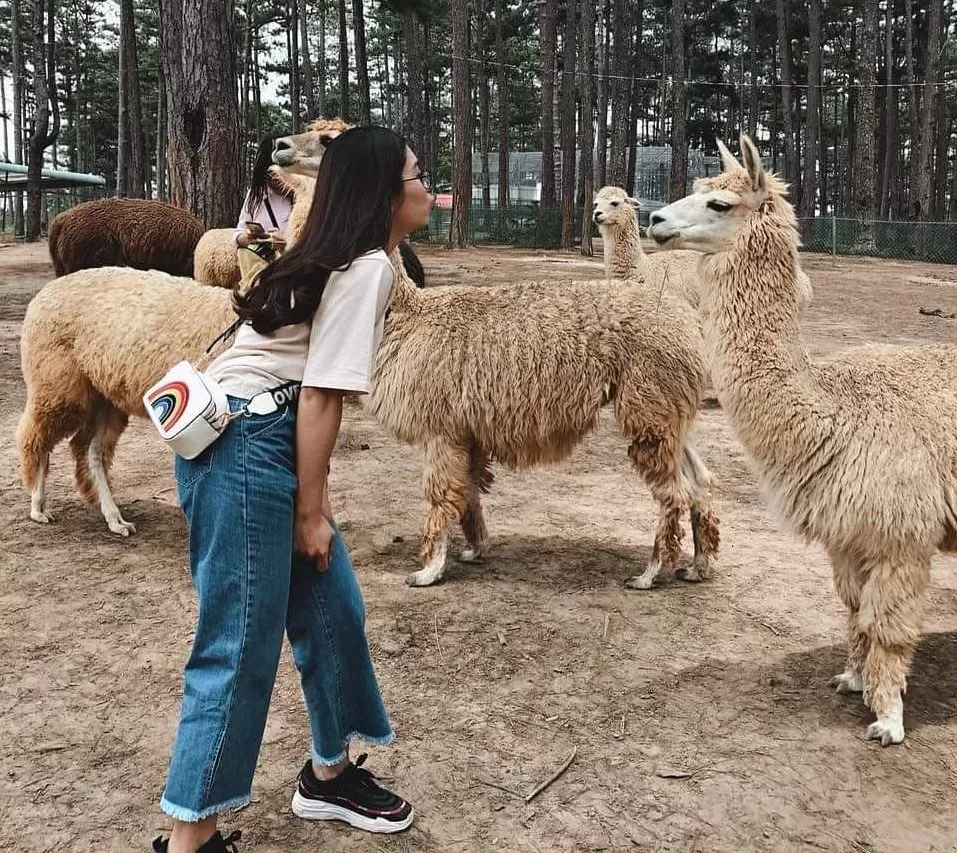 Tour sở thú Zoodoo Đà Lạt